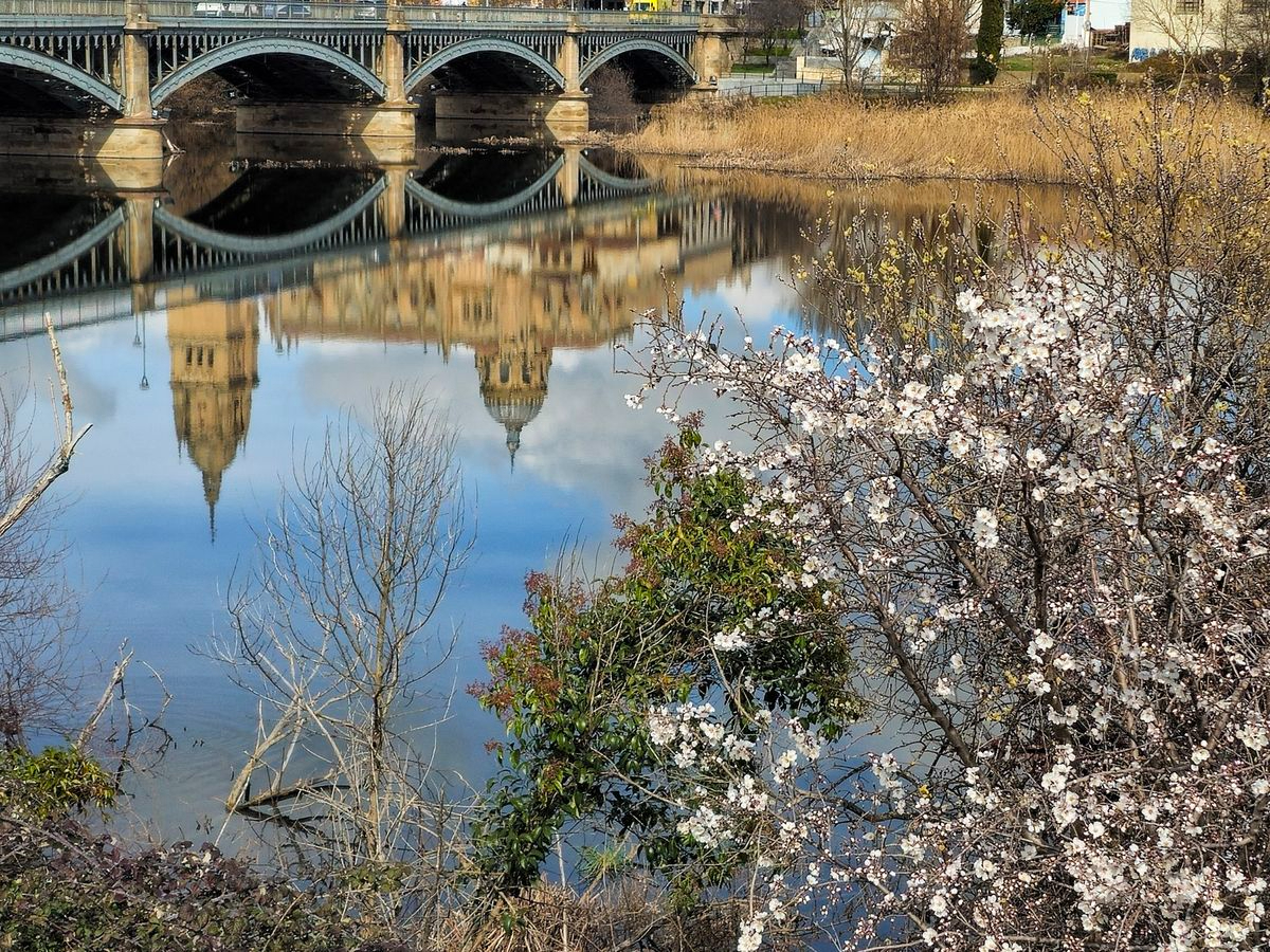 Reflejo de las catedrales de Salamanca