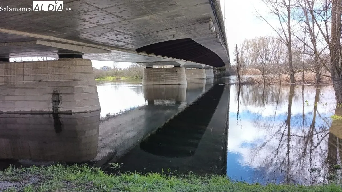 El río Tormes tras las lluvias de los últimos días | FOTOS: Toni Sánchez 