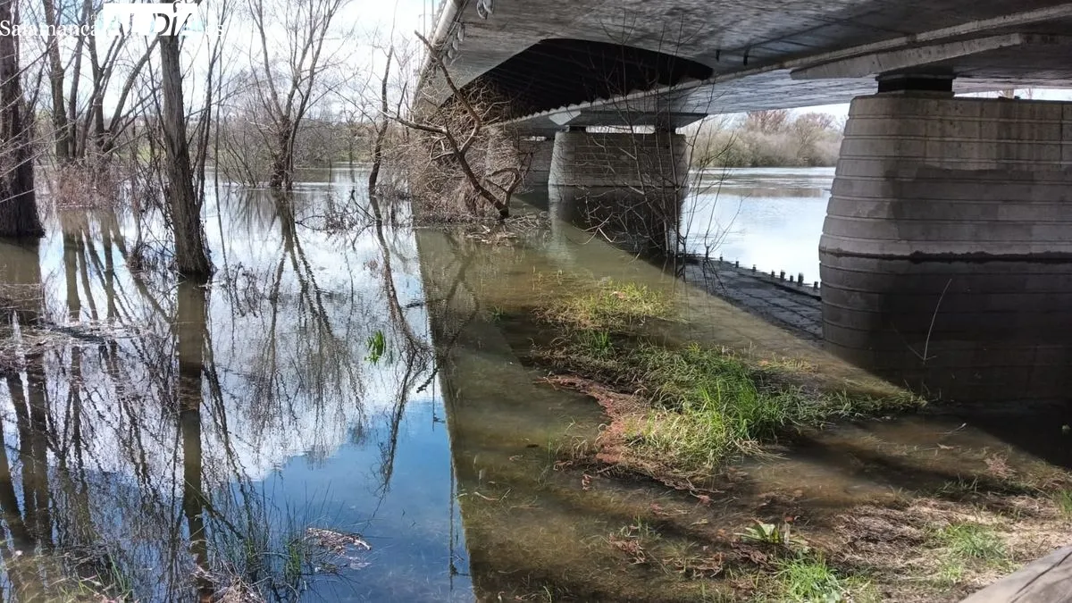 El río Tormes tras las lluvias de los últimos días | FOTOS: Toni Sánchez 