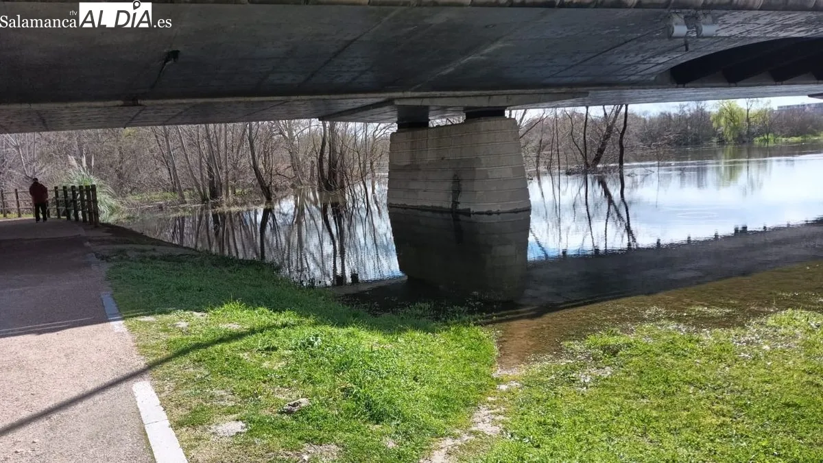 El río Tormes tras las lluvias de los últimos días | FOTOS: Toni Sánchez 