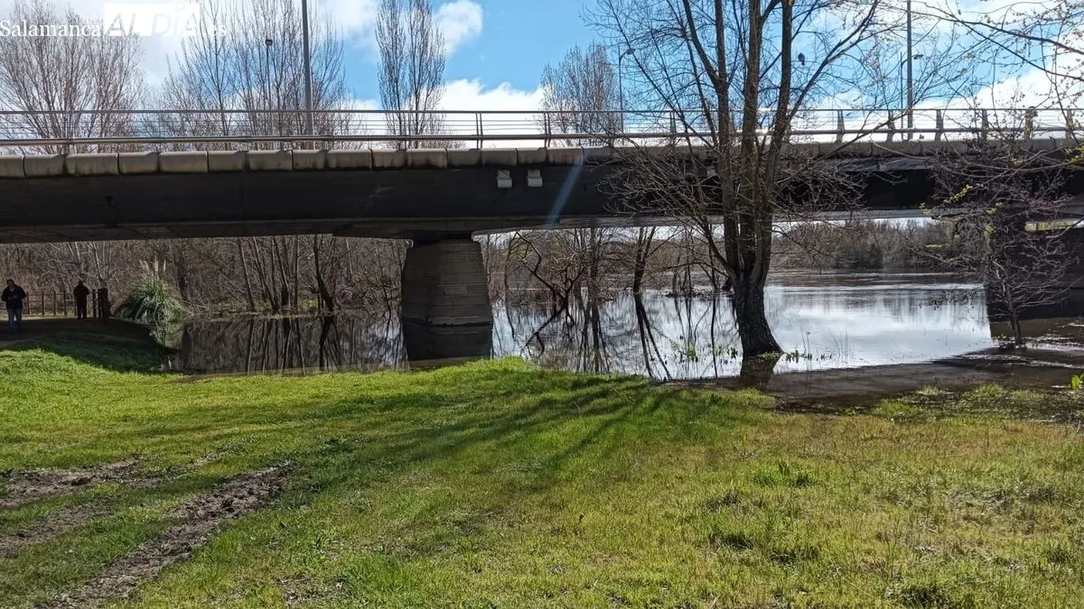 El río Tormes tras las lluvias de los últimos días | FOTOS: Toni Sánchez 