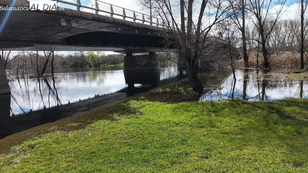 El río Tormes tras las lluvias de los últimos días | FOTOS: Toni Sánchez 