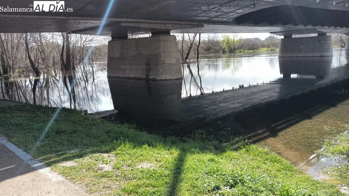 El río Tormes tras las lluvias de los últimos días | FOTOS: Toni Sánchez 