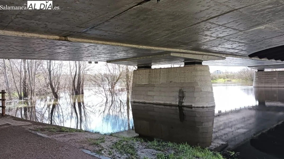 El río Tormes tras las lluvias de los últimos días | FOTOS: Toni Sánchez 
