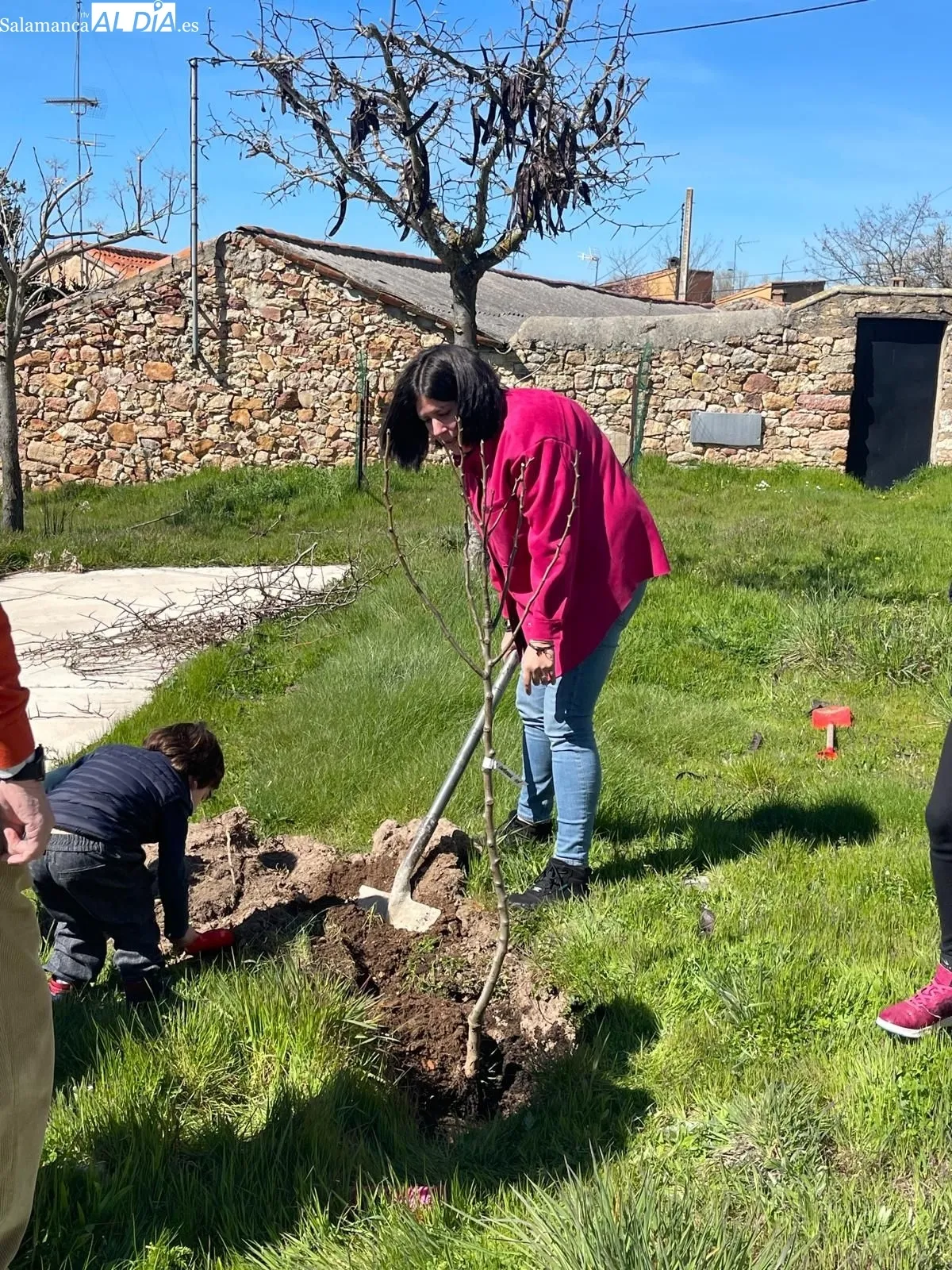 Plantación de árboles organizada por el Rotary Club Salamanca Plaza Mayor en Morille