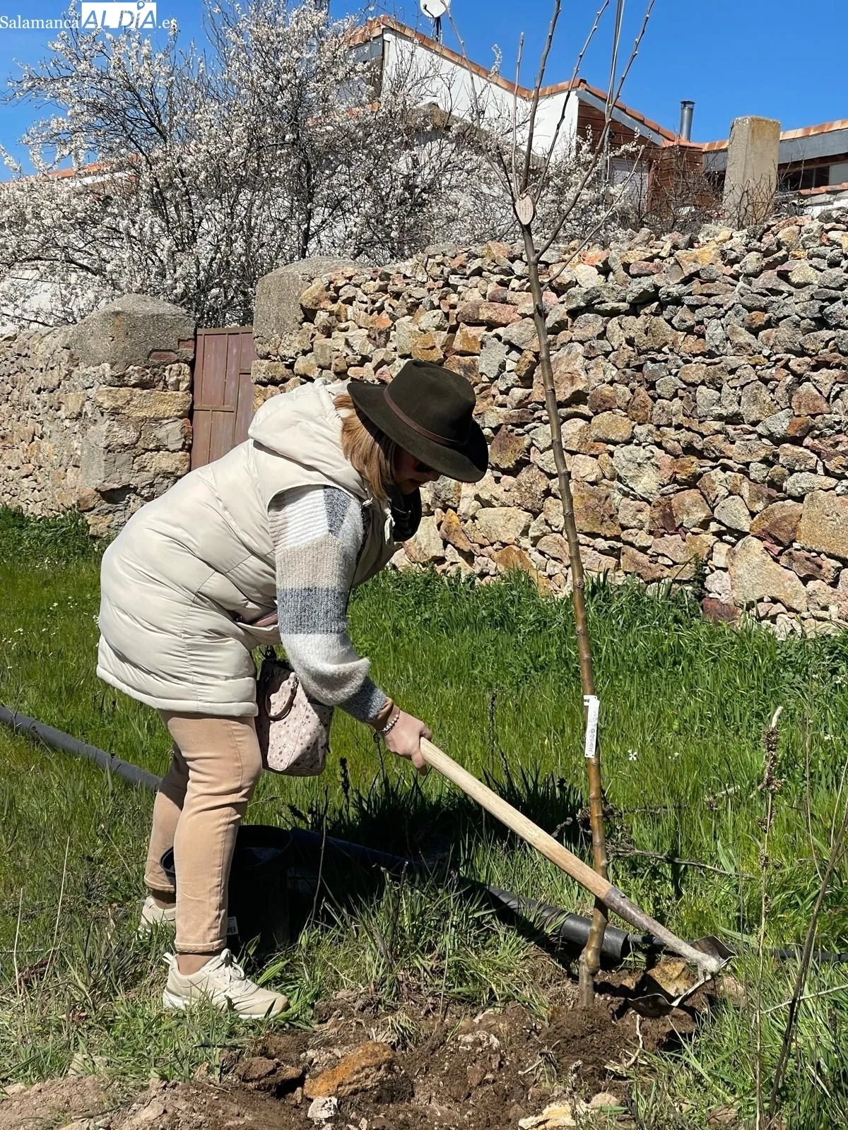 Plantación de árboles organizada por el Rotary Club Salamanca Plaza Mayor en Morille