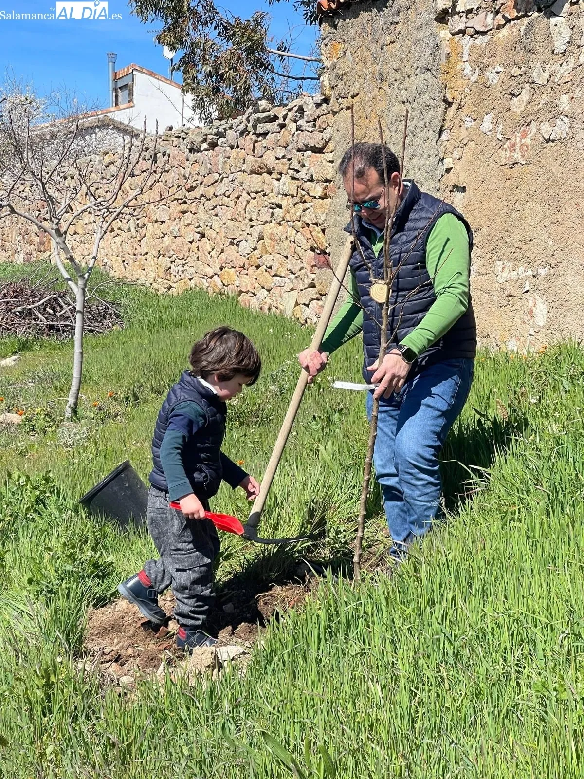 Plantación de árboles organizada por el Rotary Club Salamanca Plaza Mayor en Morille