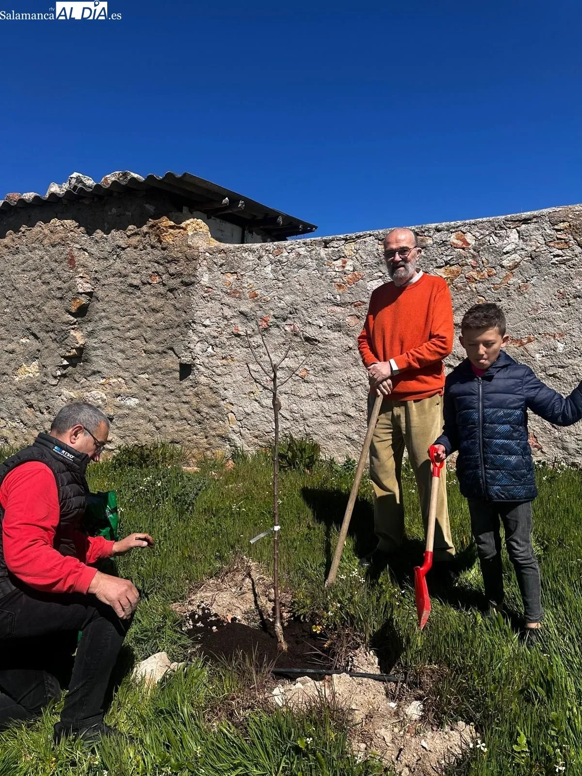 Plantación de árboles organizada por el Rotary Club Salamanca Plaza Mayor en Morille