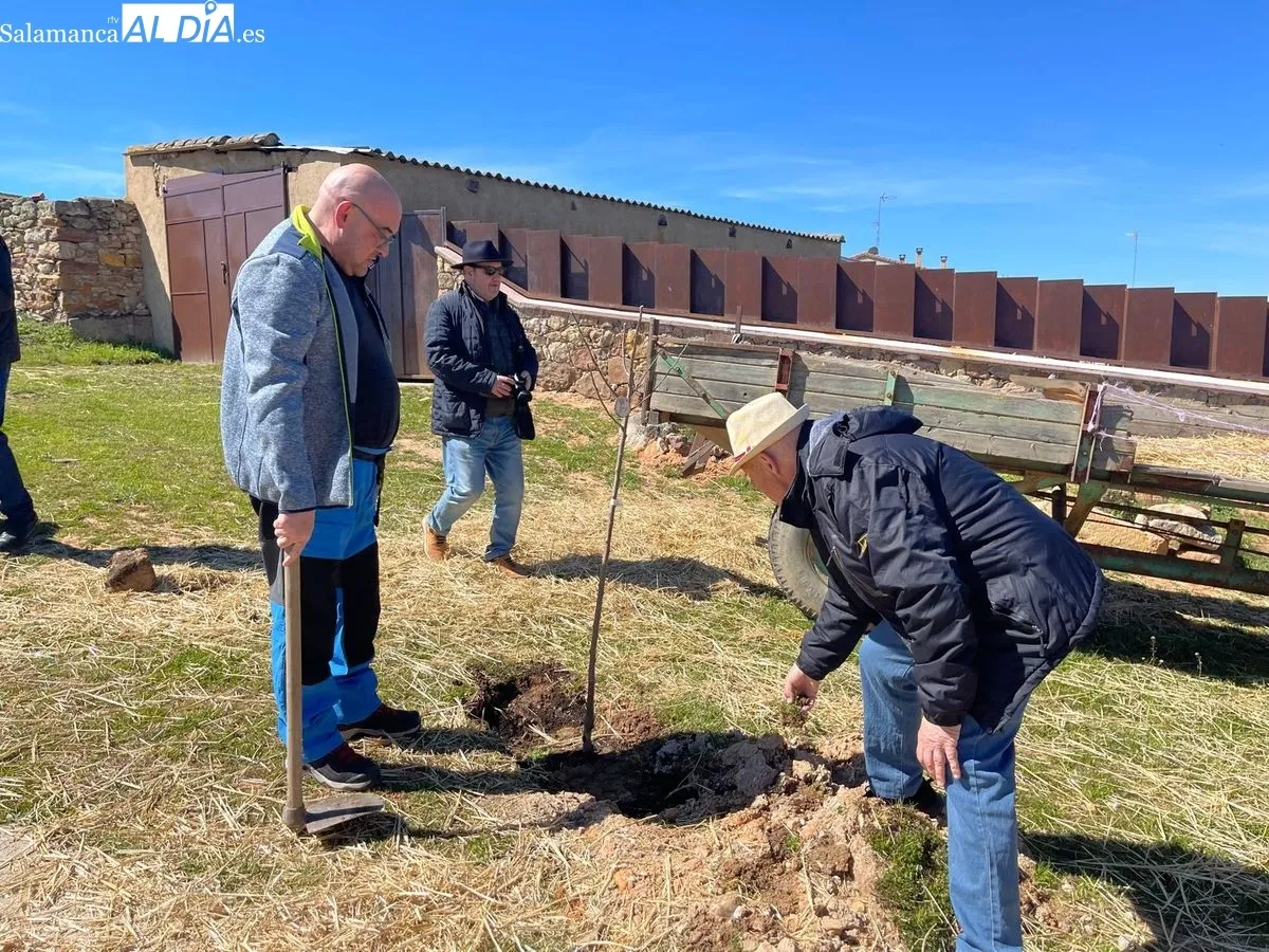 Plantación de árboles organizada por el Rotary Club Salamanca Plaza Mayor en Morille
