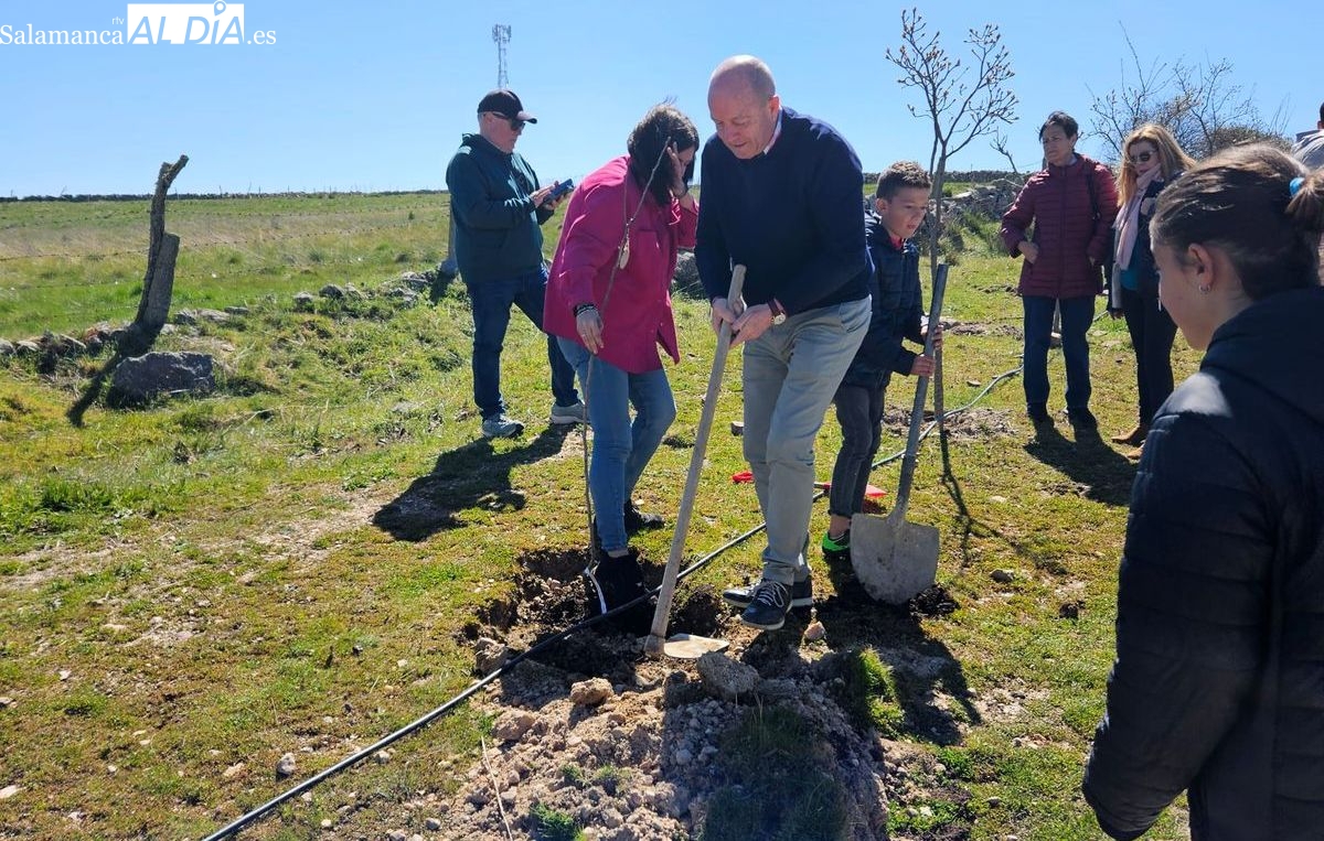 FOTOS y VÍDEO | El Rotary Club Salamanca Plaza Mayor organiza una plantación de árboles en Morille