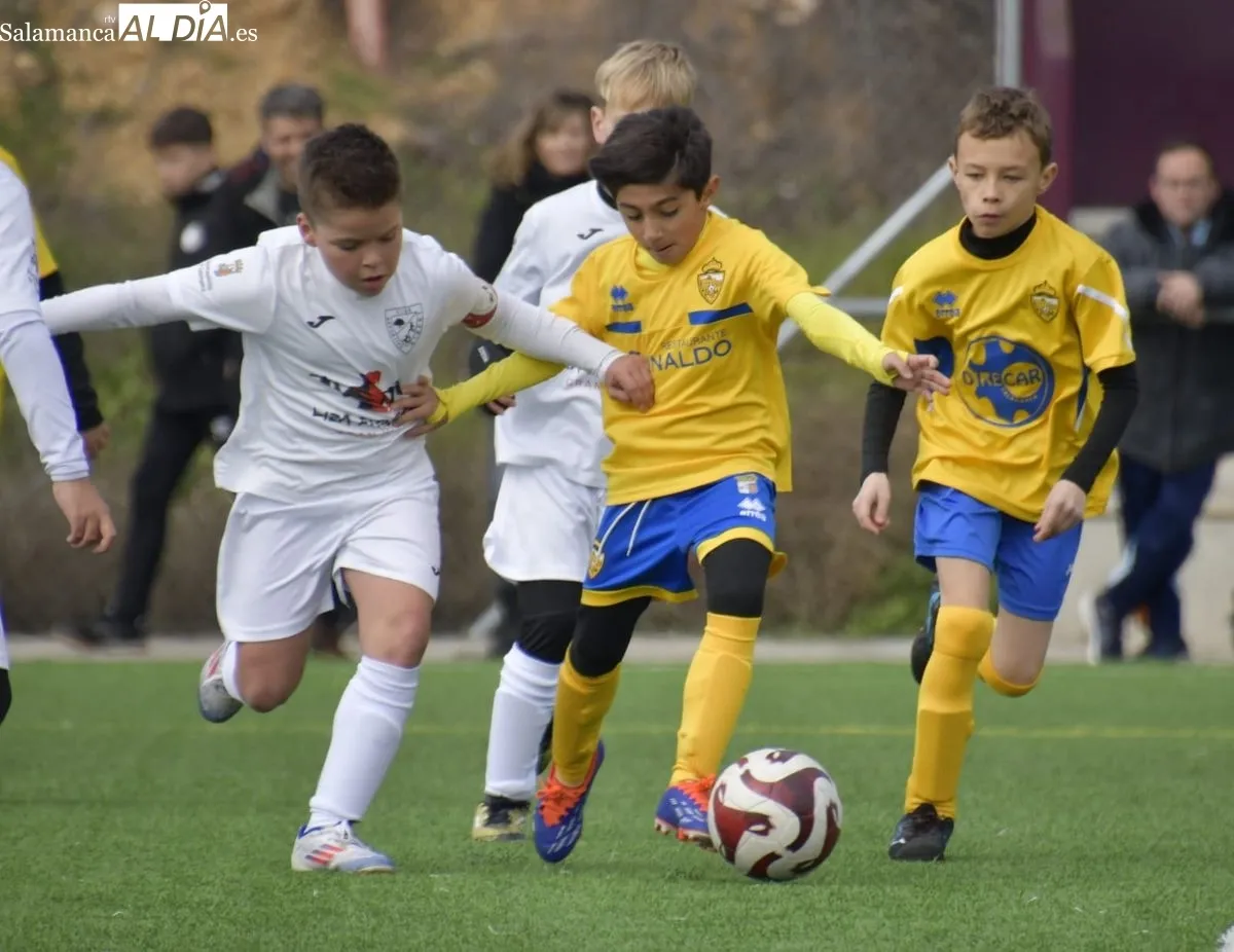 Foto 15 - El f&uacute;tbol base de Salamanca vive una nueva jornada de Liga para ir entrando en su recta final (GALER&Iacute;A DE FOTOS) 