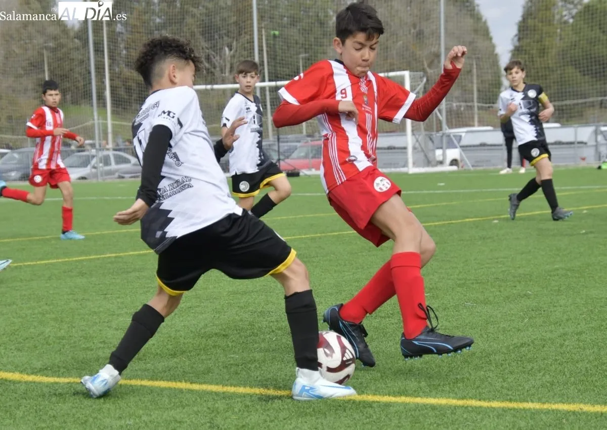 Foto 9 - El f&uacute;tbol base de Salamanca vive una nueva jornada de Liga para ir entrando en su recta final (GALER&Iacute;A DE FOTOS) 