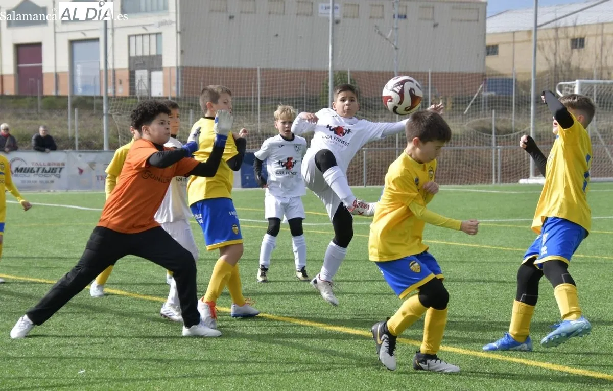 Foto 2 - El f&uacute;tbol base de Salamanca vive una nueva jornada de Liga para ir entrando en su recta final (GALER&Iacute;A DE FOTOS) 
