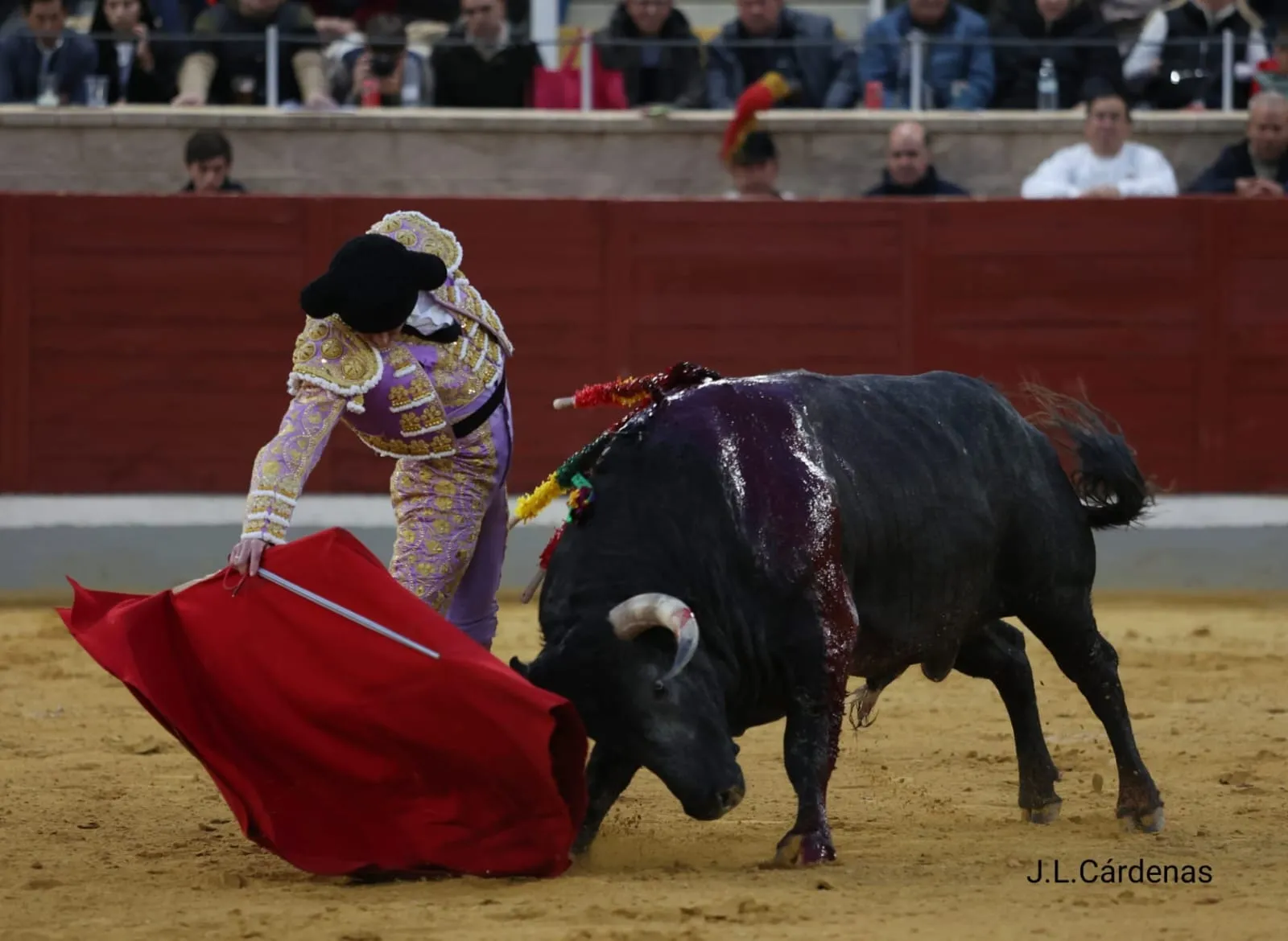 Fotos: Villaseca Toros