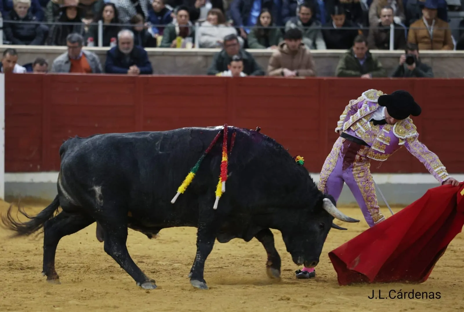 Fotos: Villaseca Toros