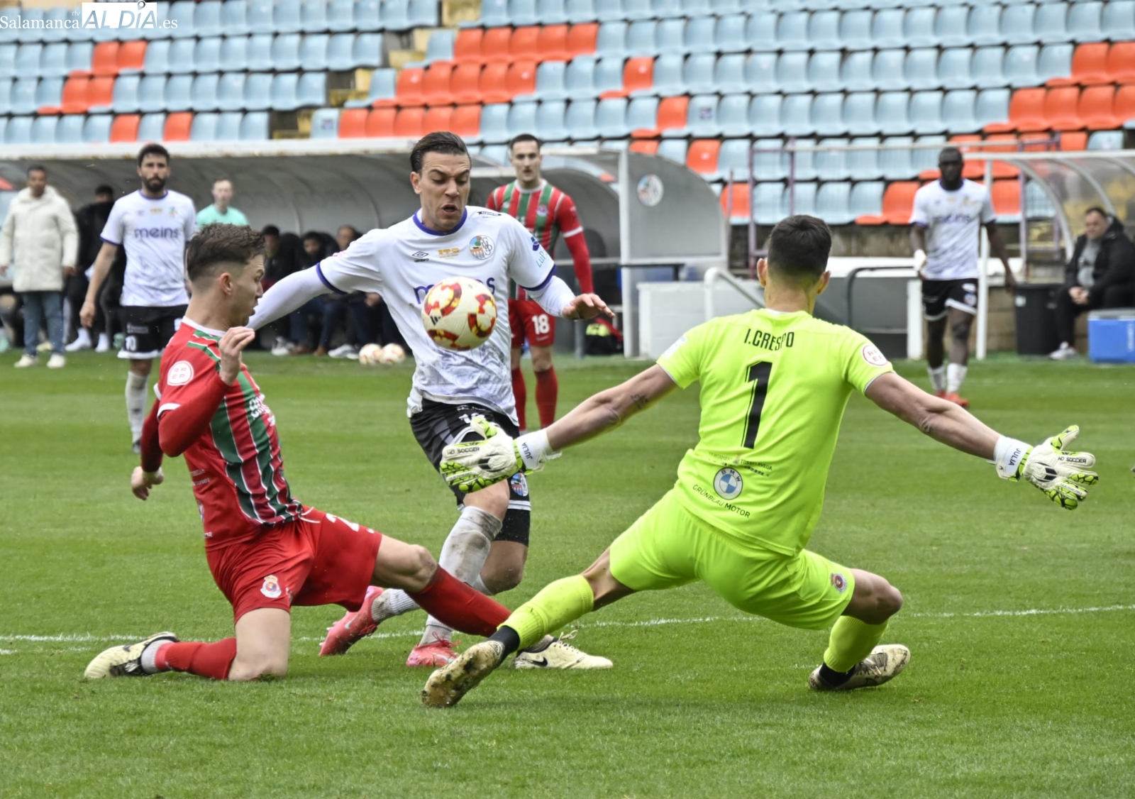 FOTOS | Al Salamanca UDS no le sienta bien madrugar y se le va la victoria en el Helmántico en el 86 ante el Torrelavega (1-1)