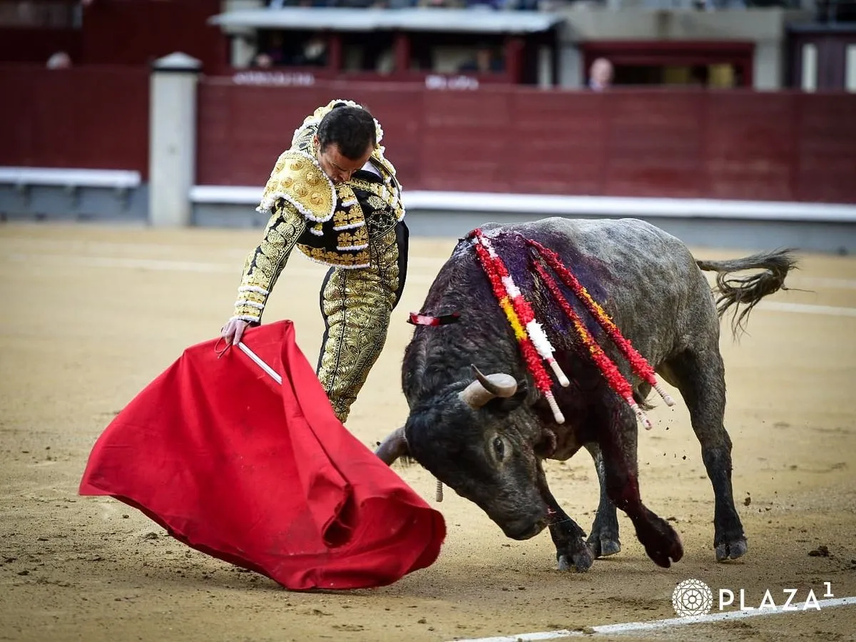 El salmantino Damián Castaño en la Monumental plaza de toros de Las Ventas (Madrid)