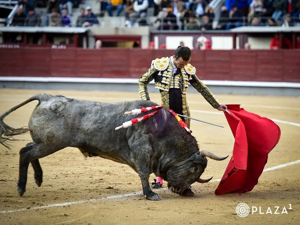 El salmantino Damián Castaño en la Monumental plaza de toros de Las Ventas (Madrid)