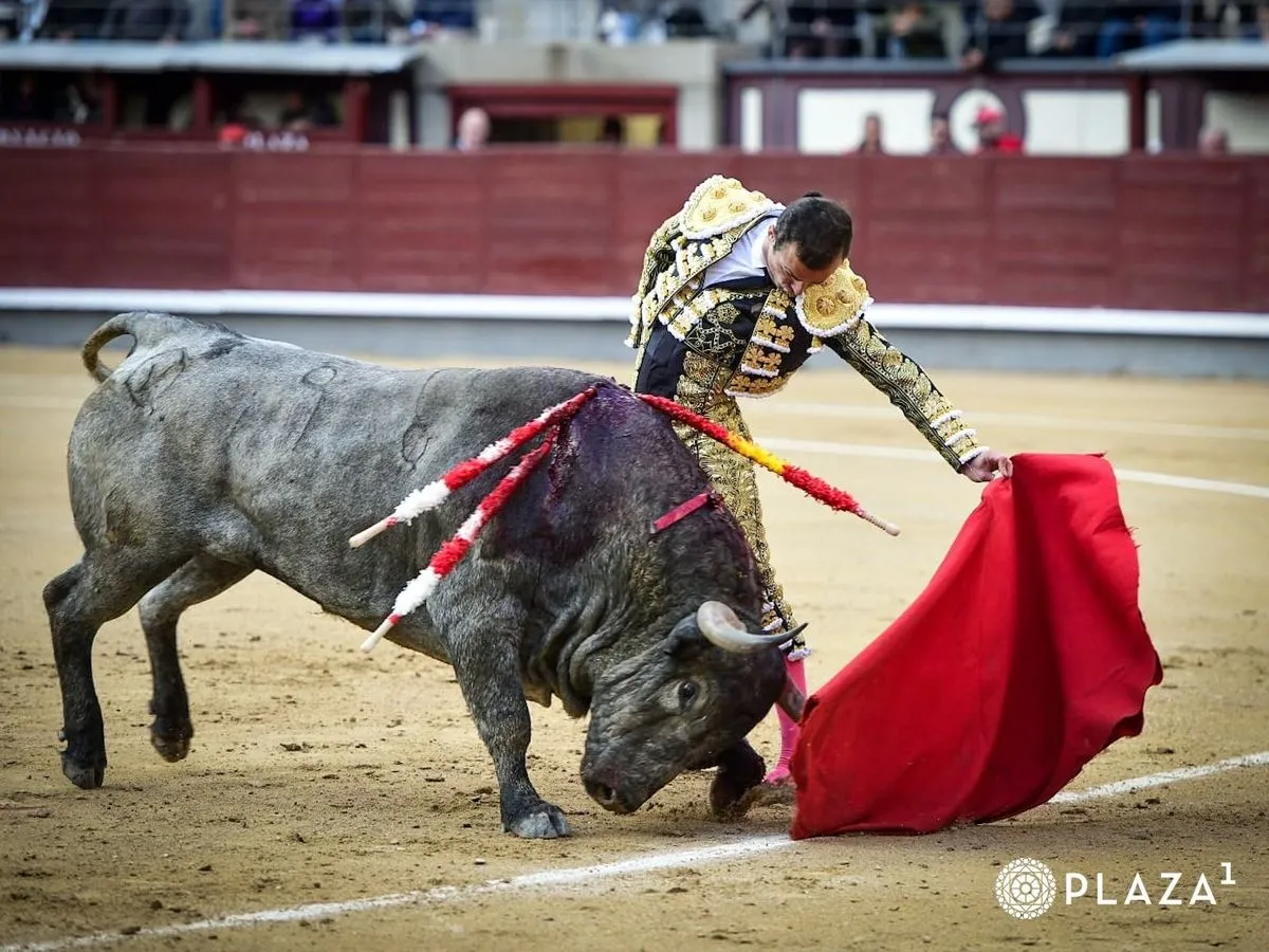 El salmantino Damián Castaño en la Monumental plaza de toros de Las Ventas (Madrid)