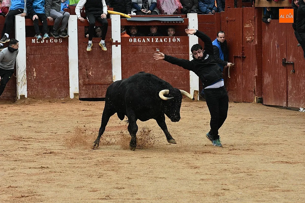 Foto 4 - Animada capea, con Victorino incluido, con dos grandes sustos producto de sendos resbalones