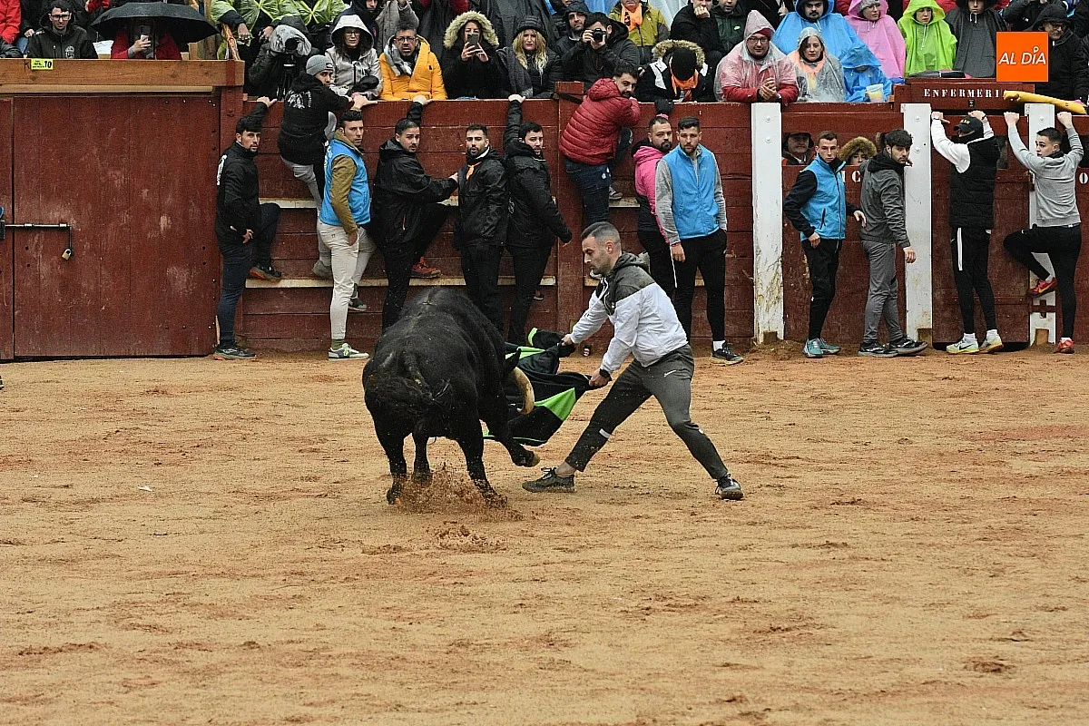 Foto 6 - Animada capea, con Victorino incluido, con dos grandes sustos producto de sendos resbalones