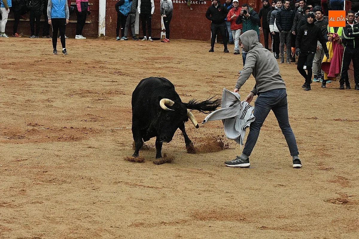 Foto 9 - Animada capea, con Victorino incluido, con dos grandes sustos producto de sendos resbalones