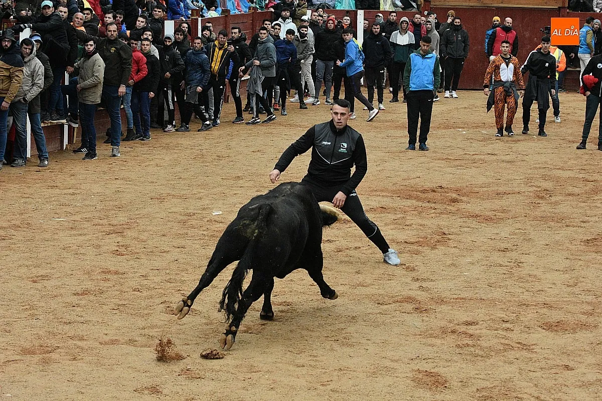 Foto 10 - Animada capea, con Victorino incluido, con dos grandes sustos producto de sendos resbalones