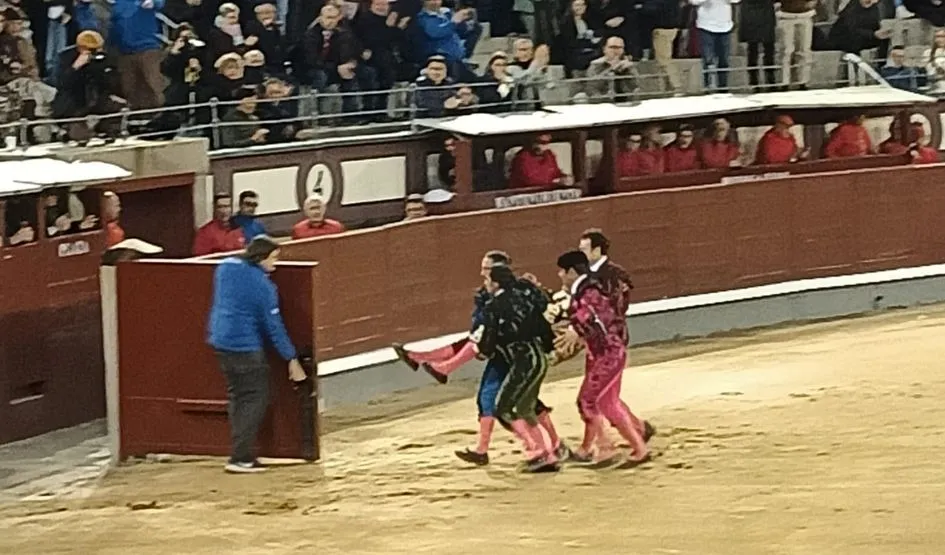 Foto 3 - Dami&aacute;n Casta&ntilde;o paga con sangre su entrega en Las Ventas&nbsp;