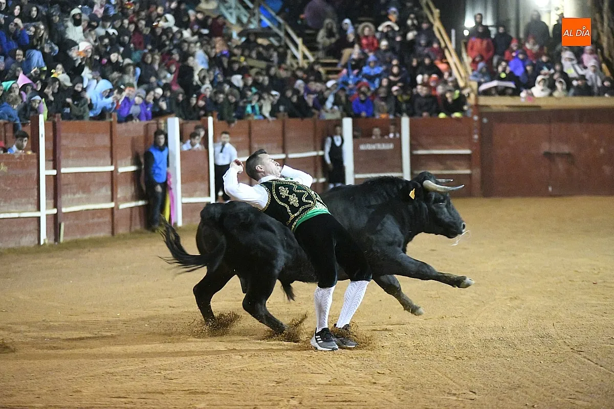 Foto 14 - El mirobrigense Pipe Mart&iacute;n ganador del XI concurso de recortadores 