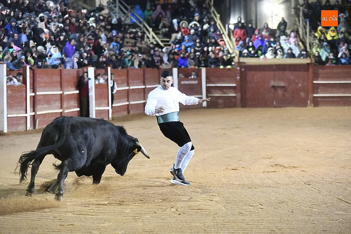 Foto 15 - El mirobrigense Pipe Mart&iacute;n ganador del XI concurso de recortadores 
