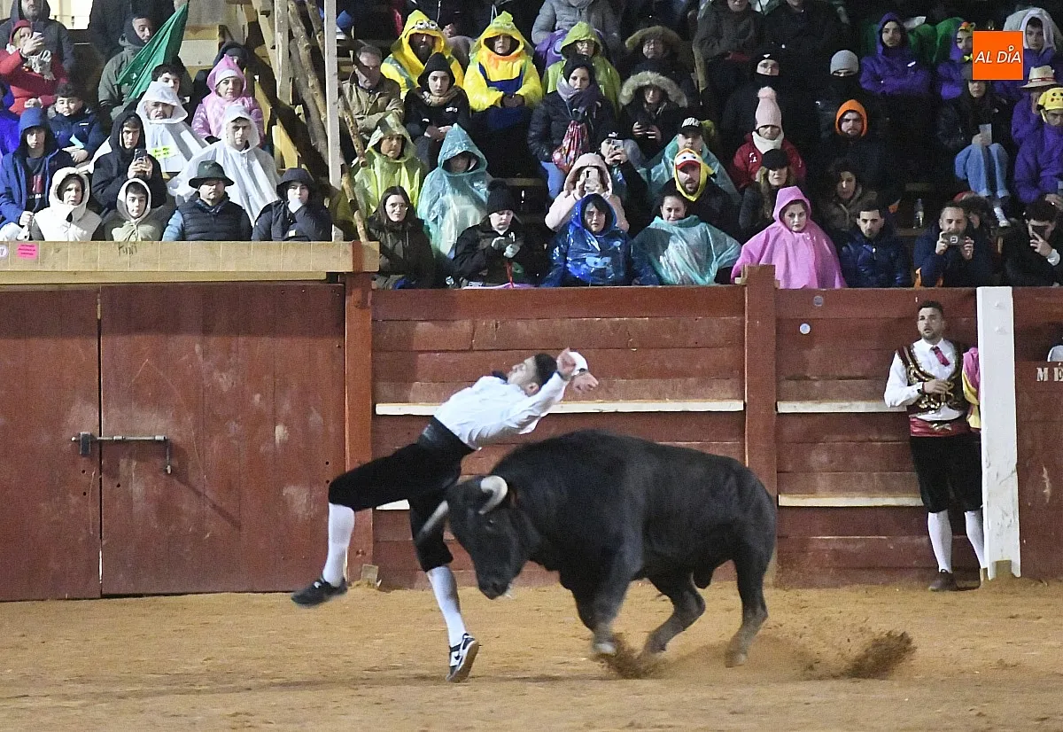 Foto 16 - El mirobrigense Pipe Mart&iacute;n ganador del XI concurso de recortadores 