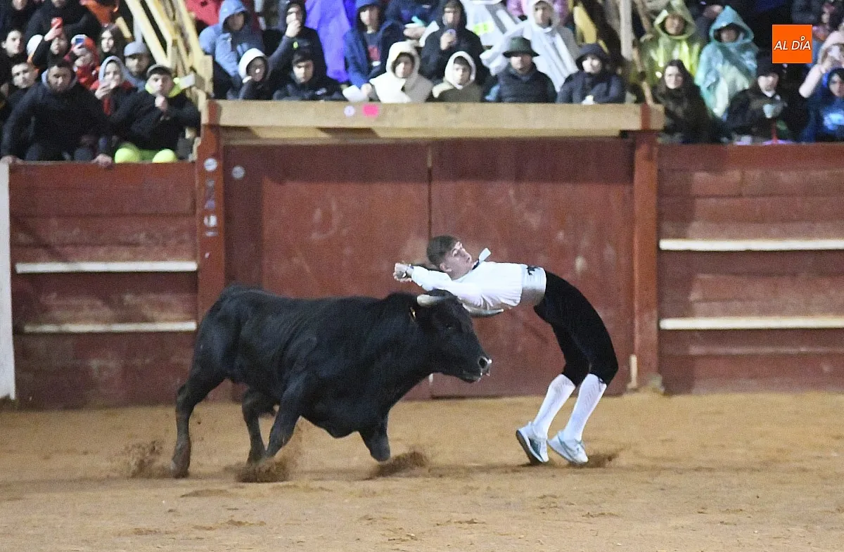 Foto 17 - El mirobrigense Pipe Mart&iacute;n ganador del XI concurso de recortadores 