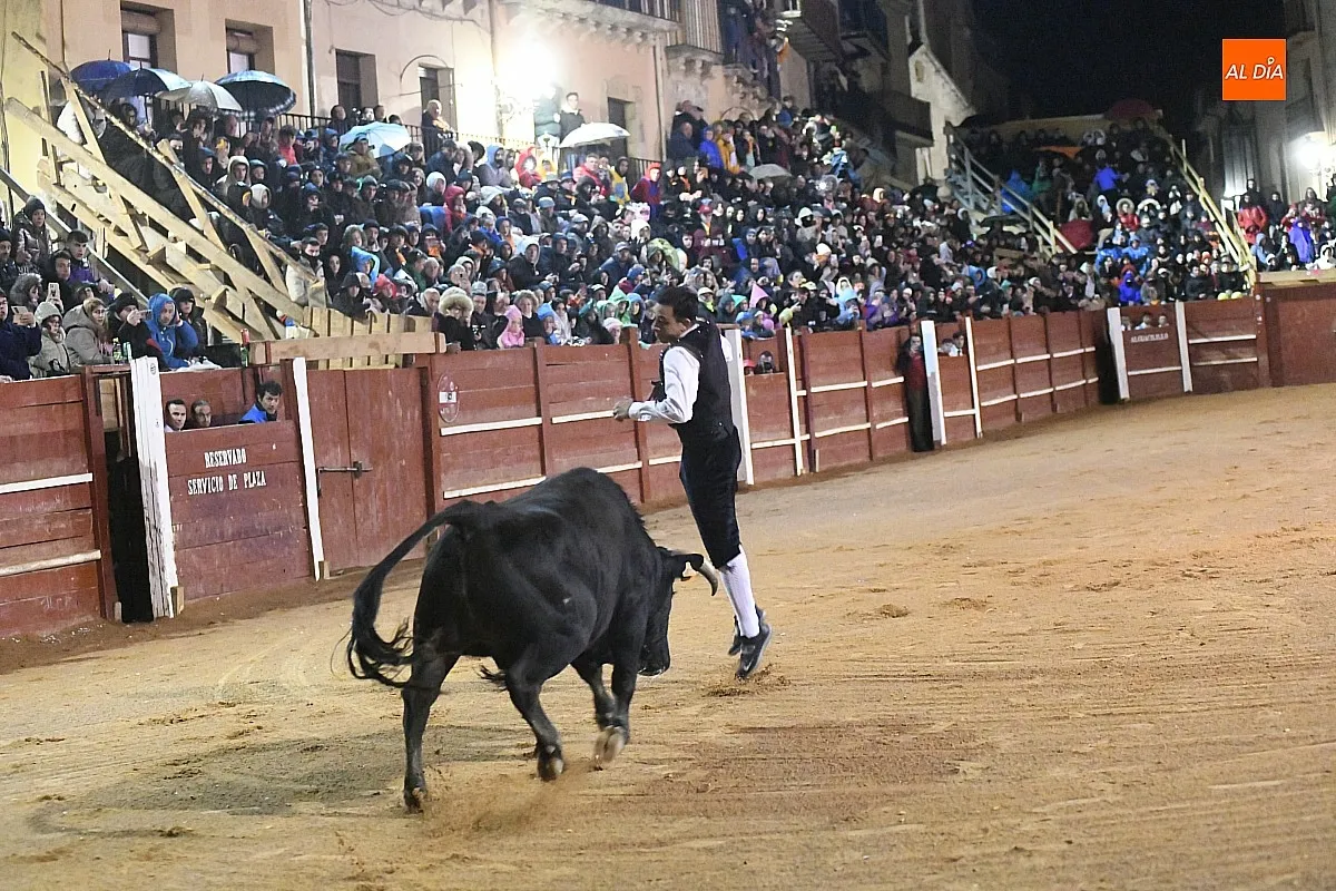 Foto 18 - El mirobrigense Pipe Mart&iacute;n ganador del XI concurso de recortadores 