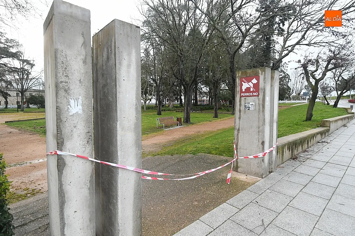 El fuerte viento ha causado daños en Ciudad Rodrigo/ Fotos: Adrián M.Pastor