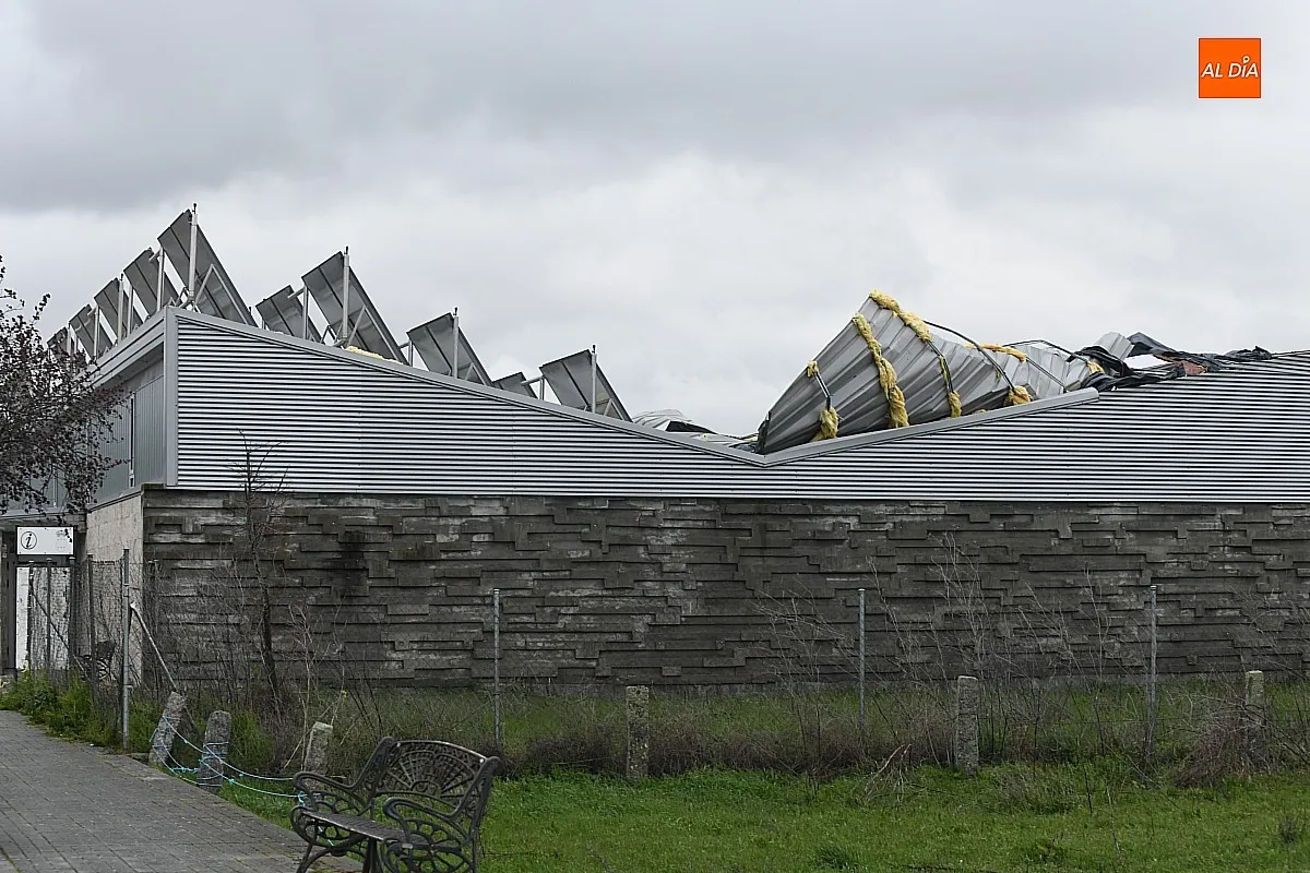 El fuerte viento ha causado daños en Ciudad Rodrigo/ Fotos: Adrián M.Pastor