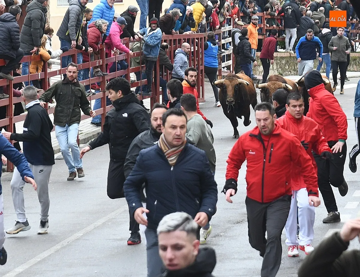 Foto 4 - Los Torrealba protagonizan un veloz &uacute;ltimo encierro del Carnaval subiendo muy fragmentados