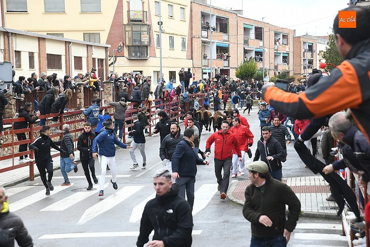 Foto 5 - Los Torrealba protagonizan un veloz &uacute;ltimo encierro del Carnaval subiendo muy fragmentados