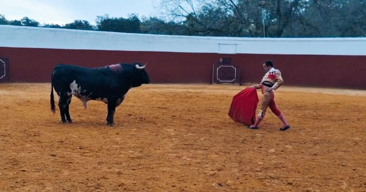 Entrenamiento de Damian Castaño con toros de Dolores Aguirre