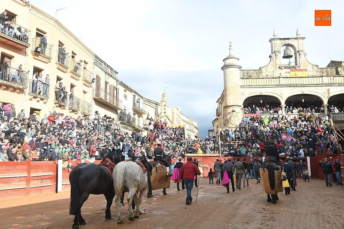 Festival con picadores martes Carnaval del Toro Ciudad Rodrigo/ Fotos: Adrián M.Pastor