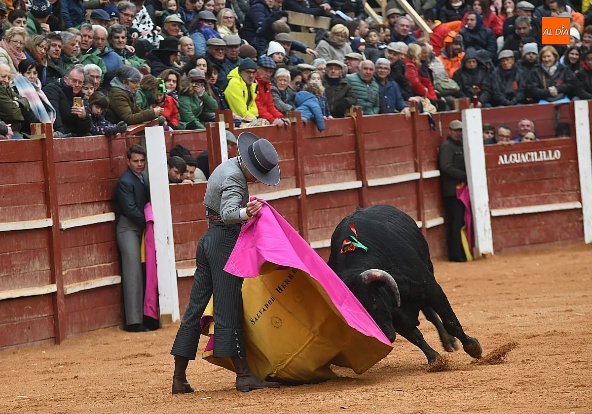 Festival taurino domingo Carnaval Ciudad Rodrigo/ Fotos: Adrián M.Pastor