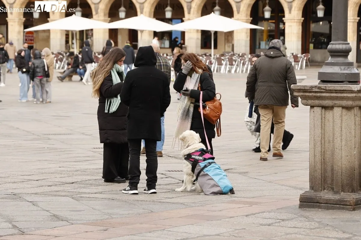 Ambiente en el centro de Salamanca en esta fría tarde de domingo. Fotos: David Sañudo