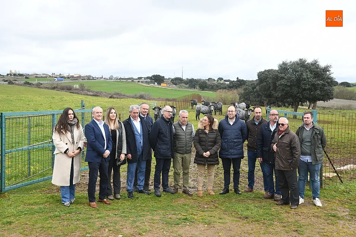 Jornadas Buey Morucho de Bellota en Ciudad Rodrigo / Fotos: Adrián M.Pastor