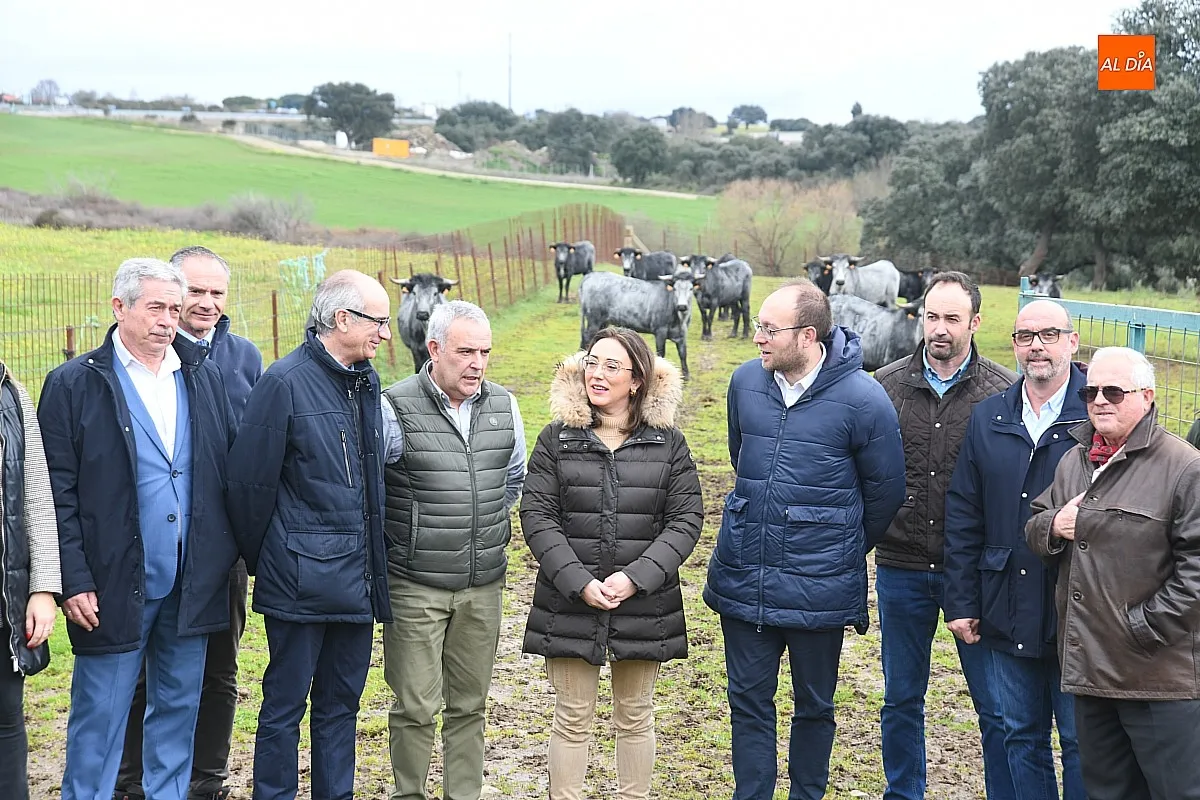 Jornadas Buey Morucho de Bellota en Ciudad Rodrigo / Fotos: Adrián M.Pastor