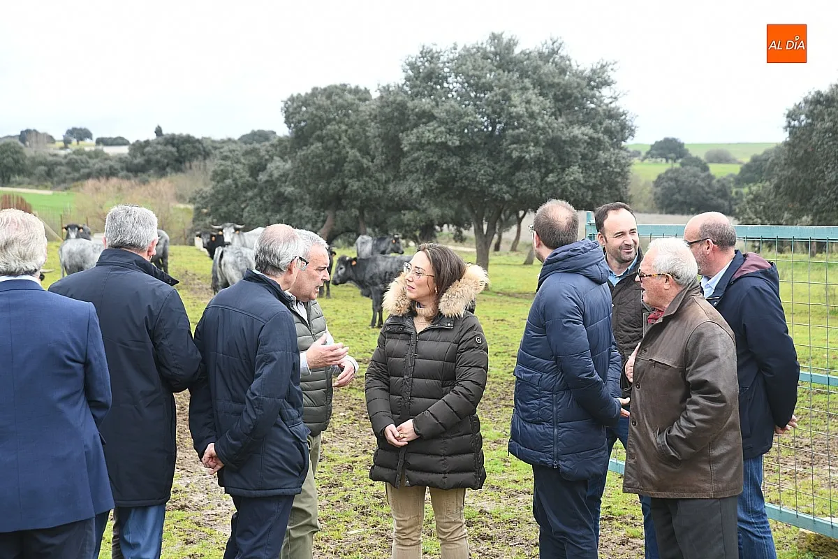 Jornadas Buey Morucho de Bellota en Ciudad Rodrigo / Fotos: Adrián M.Pastor