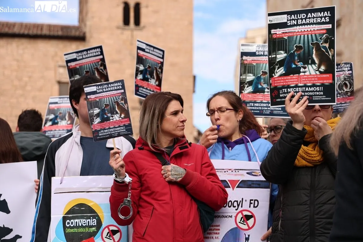 Profesionales salmantinos se manifiestan contra la normativa del medicamento veterinario. Foto de David Sañudo