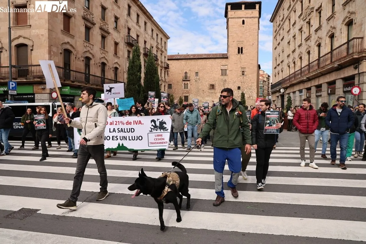 Profesionales salmantinos se manifiestan contra la normativa del medicamento veterinario. Foto de David Sañudo