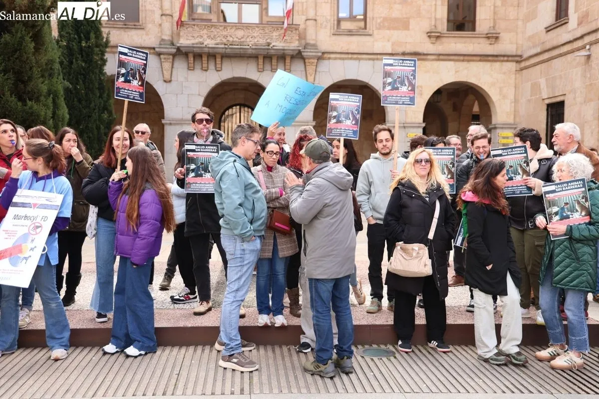 Profesionales salmantinos se manifiestan contra la normativa del medicamento veterinario. Foto de David Sañudo