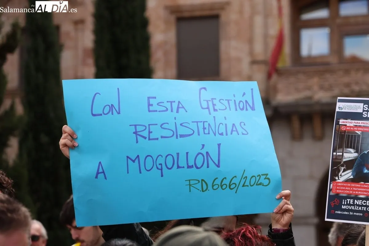 Profesionales salmantinos se manifiestan contra la normativa del medicamento veterinario. Foto de David Sañudo