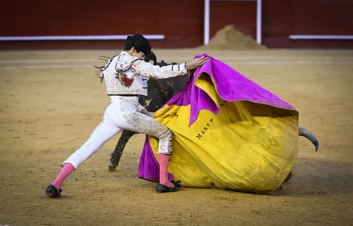 Marco Pérez en Valencia | Fotos: Plaza de toros de Valencia