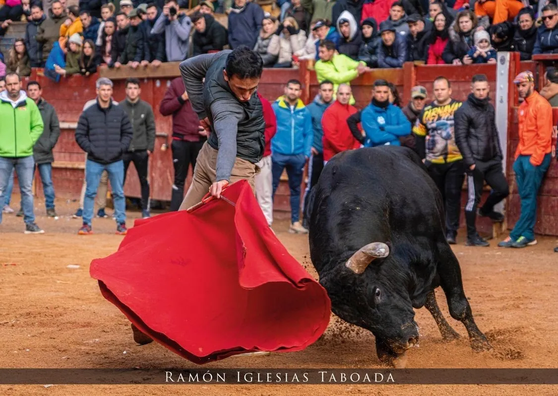 Foto 10 - &Aacute;ngel Serrano gana de nuevo el Concurso del Calendario Carnavalero, que ya est&aacute; a la venta